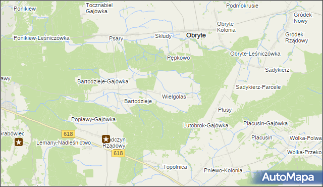 mapa Wielgolas gmina Obryte, Wielgolas gmina Obryte na mapie Targeo