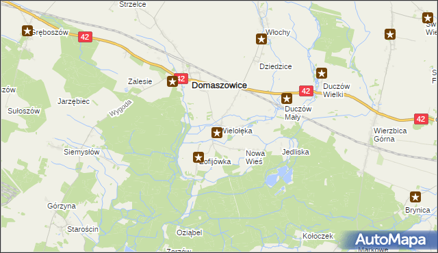 mapa Wielołęka gmina Domaszowice, Wielołęka gmina Domaszowice na mapie Targeo