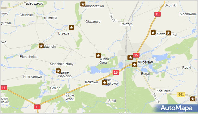 mapa Winna Góra gmina Środa Wielkopolska, Winna Góra gmina Środa Wielkopolska na mapie Targeo