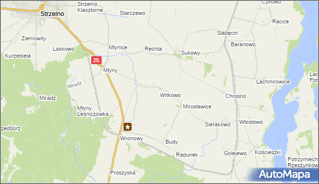 mapa Witkowo gmina Strzelno, Witkowo gmina Strzelno na mapie Targeo