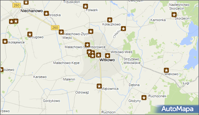 mapa Witkowo powiat gnieźnieński, Witkowo powiat gnieźnieński na mapie Targeo