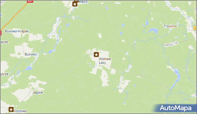 mapa Wołowe Lasy, Wołowe Lasy na mapie Targeo