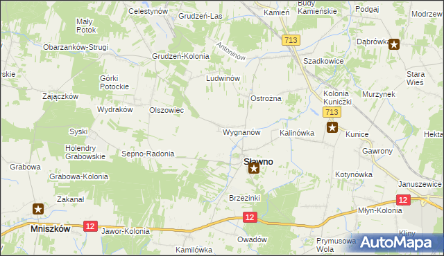 mapa Wygnanów gmina Sławno, Wygnanów gmina Sławno na mapie Targeo