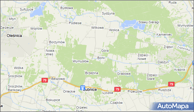 mapa Borki gmina Łubnice, Borki gmina Łubnice na mapie Targeo