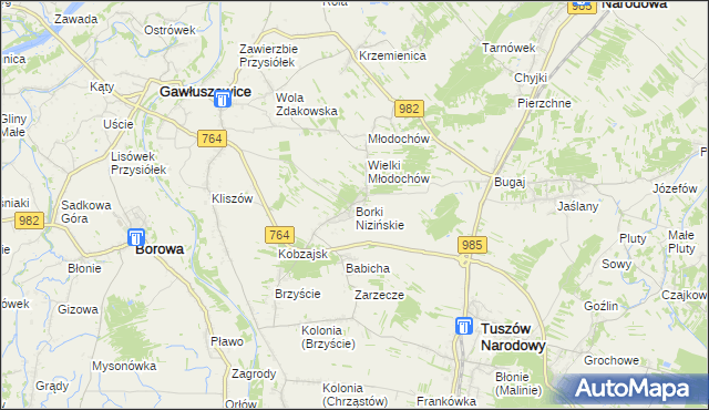 mapa Borki Nizińskie, Borki Nizińskie na mapie Targeo