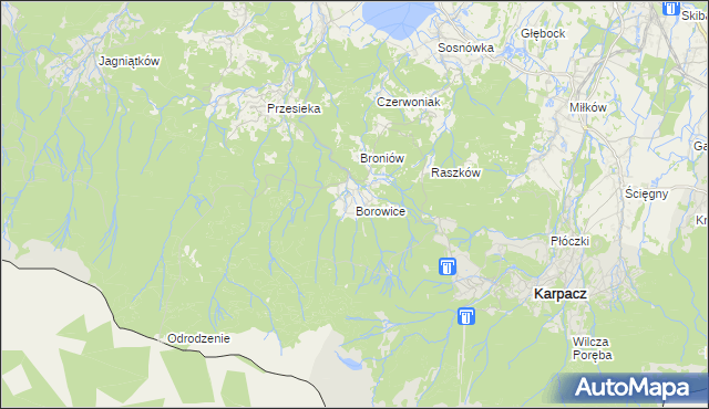 mapa Borowice gmina Podgórzyn, Borowice gmina Podgórzyn na mapie Targeo