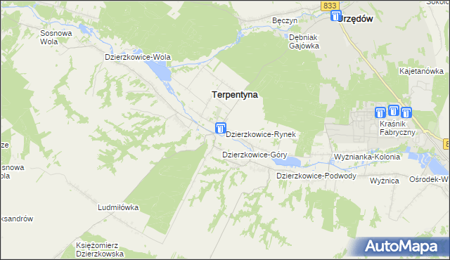 mapa Dzierzkowice-Rynek, Dzierzkowice-Rynek na mapie Targeo