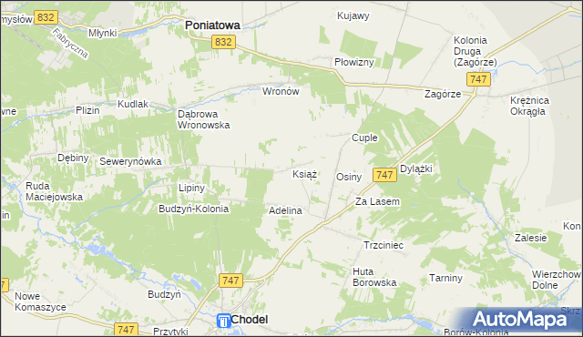 mapa Książ gmina Chodel, Książ gmina Chodel na mapie Targeo