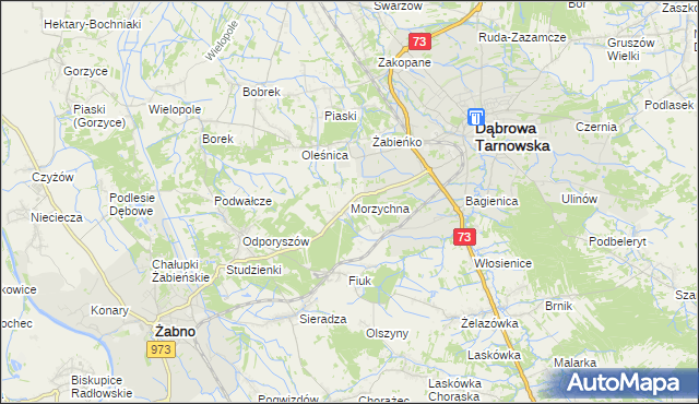 mapa Morzychna, Morzychna na mapie Targeo