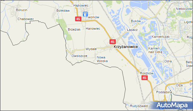 mapa Nowa Wioska gmina Krzyżanowice, Nowa Wioska gmina Krzyżanowice na mapie Targeo