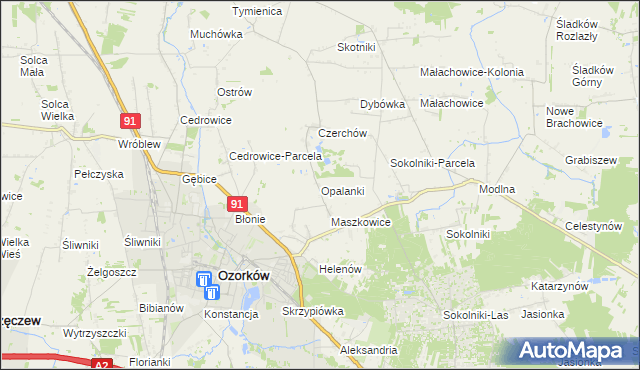 mapa Opalanki gmina Ozorków, Opalanki gmina Ozorków na mapie Targeo