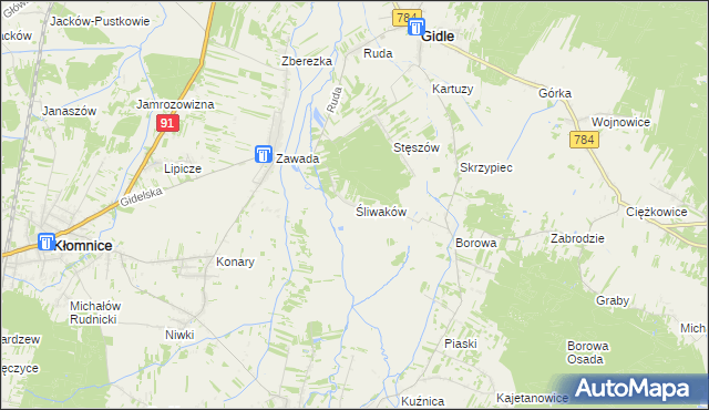 mapa Śliwaków, Śliwaków na mapie Targeo