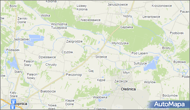 mapa Strzelce gmina Oleśnica, Strzelce gmina Oleśnica na mapie Targeo