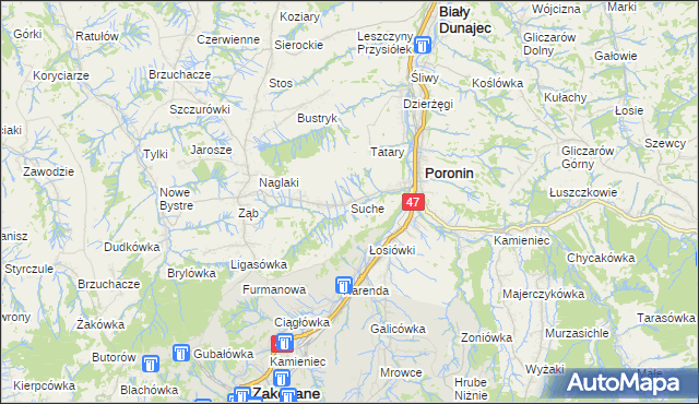 mapa Suche gmina Poronin, Suche gmina Poronin na mapie Targeo