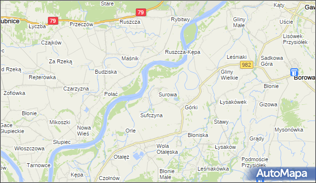 mapa Surowa gmina Borowa, Surowa gmina Borowa na mapie Targeo