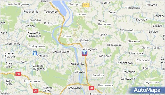 mapa Wielogłowy gmina Chełmiec, Wielogłowy gmina Chełmiec na mapie Targeo