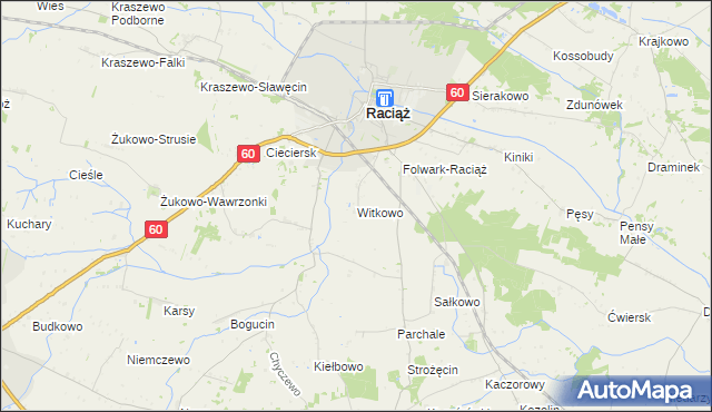mapa Witkowo gmina Raciąż, Witkowo gmina Raciąż na mapie Targeo