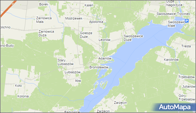 mapa Adamów gmina Wolbórz, Adamów gmina Wolbórz na mapie Targeo