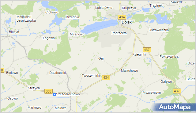 mapa Gaj gmina Gostyń, Gaj gmina Gostyń na mapie Targeo