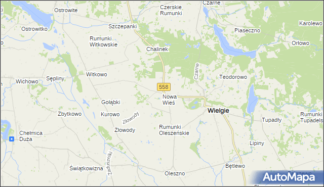 mapa Nowa Wieś gmina Wielgie, Nowa Wieś gmina Wielgie na mapie Targeo