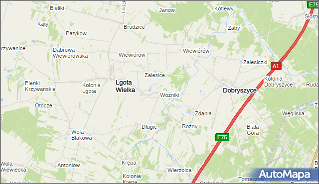 mapa Woźniki gmina Lgota Wielka, Woźniki gmina Lgota Wielka na mapie Targeo