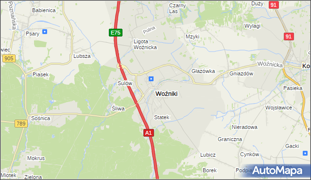 mapa Woźniki powiat lubliniecki, Woźniki powiat lubliniecki na mapie Targeo