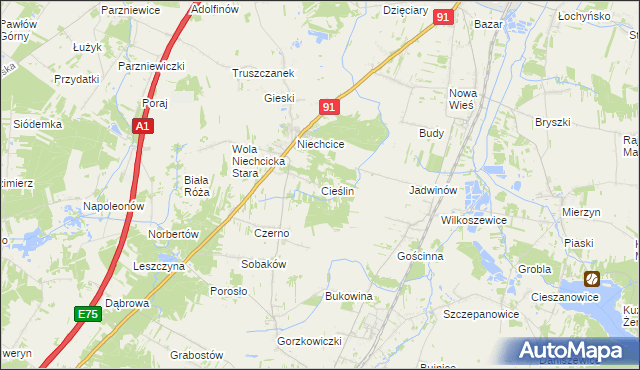 mapa Cieślin gmina Rozprza, Cieślin gmina Rozprza na mapie Targeo