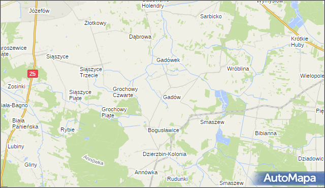 mapa Gadów, Gadów na mapie Targeo