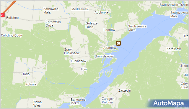 mapa Bronisławów gmina Wolbórz, Bronisławów gmina Wolbórz na mapie Targeo