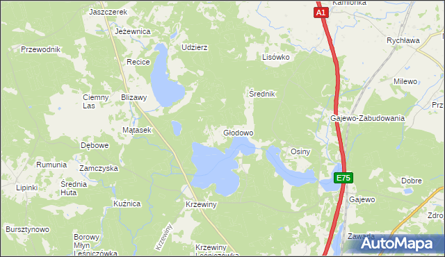 mapa Głodowo gmina Nowe, Głodowo gmina Nowe na mapie Targeo