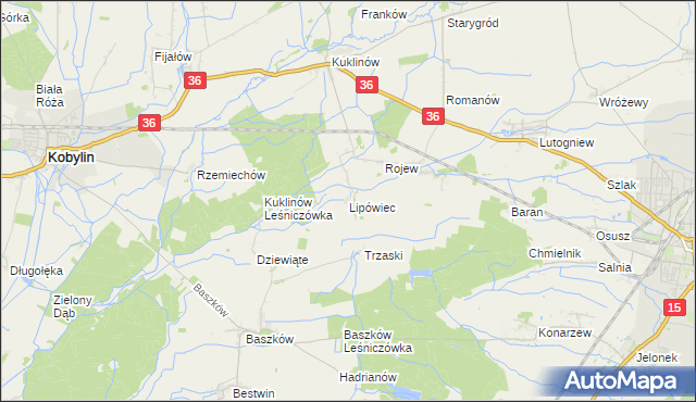 mapa Lipówiec gmina Kobylin, Lipówiec gmina Kobylin na mapie Targeo