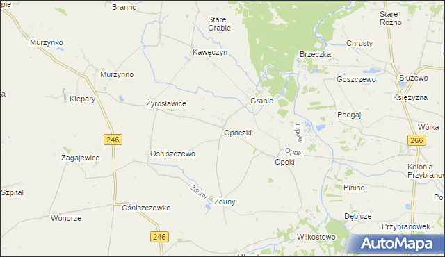 mapa Opoczki, Opoczki na mapie Targeo