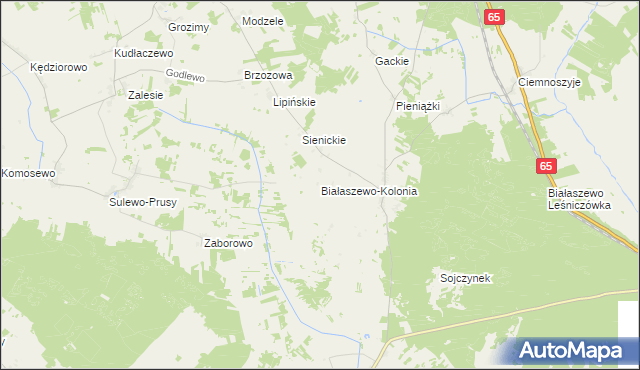 mapa Białaszewo-Kolonia, Białaszewo-Kolonia na mapie Targeo