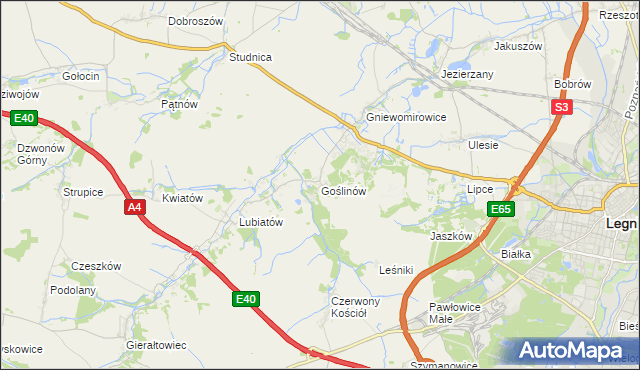 mapa Goślinów, Goślinów na mapie Targeo