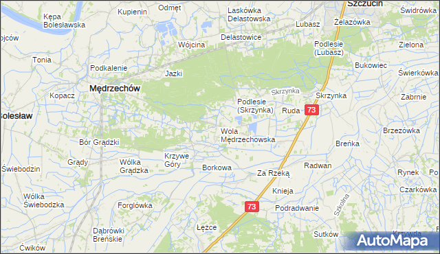 mapa Wola Mędrzechowska, Wola Mędrzechowska na mapie Targeo