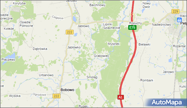 mapa Grabowiec gmina Bobowo, Grabowiec gmina Bobowo na mapie Targeo