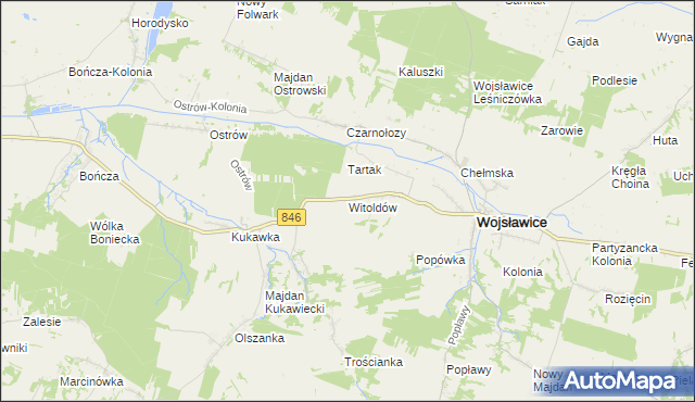 mapa Witoldów gmina Wojsławice, Witoldów gmina Wojsławice na mapie Targeo