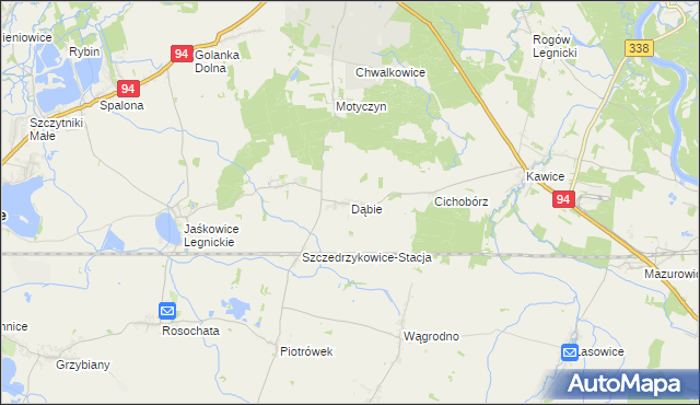 mapa Dąbie gmina Prochowice, Dąbie gmina Prochowice na mapie Targeo