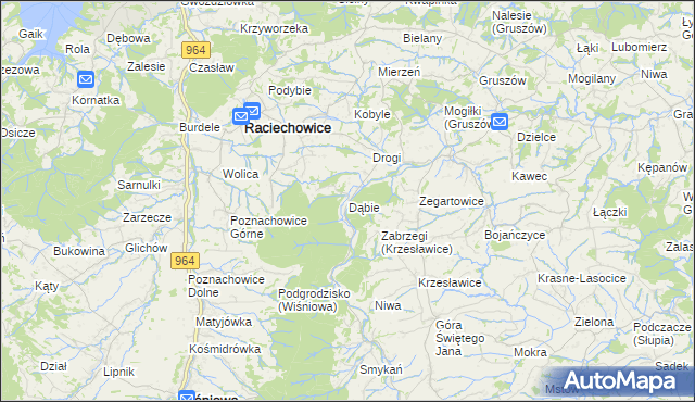 mapa Dąbie gmina Raciechowice, Dąbie gmina Raciechowice na mapie Targeo