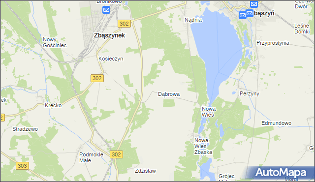 mapa Dąbrowa gmina Zbąszyń, Dąbrowa gmina Zbąszyń na mapie Targeo