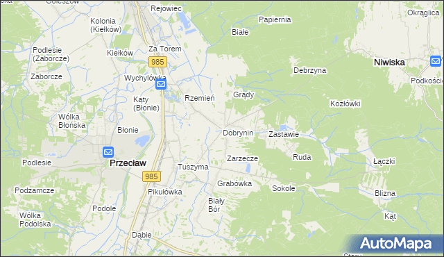 mapa Dobrynin, Dobrynin na mapie Targeo