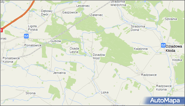 mapa Dziadów Most, Dziadów Most na mapie Targeo