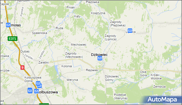 mapa Dzikowiec powiat kolbuszowski, Dzikowiec powiat kolbuszowski na mapie Targeo