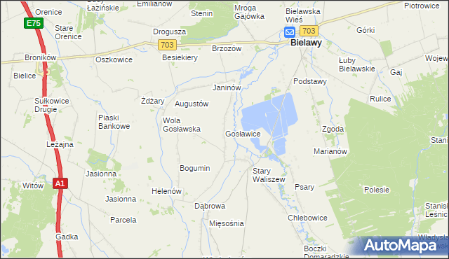 mapa Gosławice gmina Bielawy, Gosławice gmina Bielawy na mapie Targeo