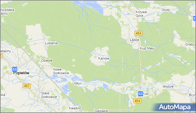 mapa Kaniów gmina Popielów, Kaniów gmina Popielów na mapie Targeo