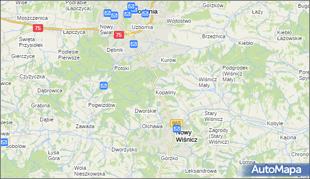 mapa Kopaliny gmina Nowy Wiśnicz, Kopaliny gmina Nowy Wiśnicz na mapie Targeo