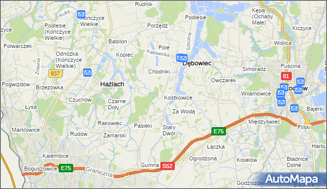 mapa Kostkowice gmina Dębowiec, Kostkowice gmina Dębowiec na mapie Targeo
