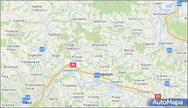 mapa Lisów gmina Skołyszyn, Lisów gmina Skołyszyn na mapie Targeo