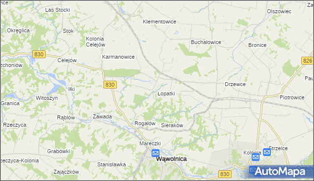 mapa Łopatki gmina Wąwolnica, Łopatki gmina Wąwolnica na mapie Targeo