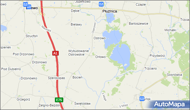 mapa Orłowo gmina Płużnica, Orłowo gmina Płużnica na mapie Targeo